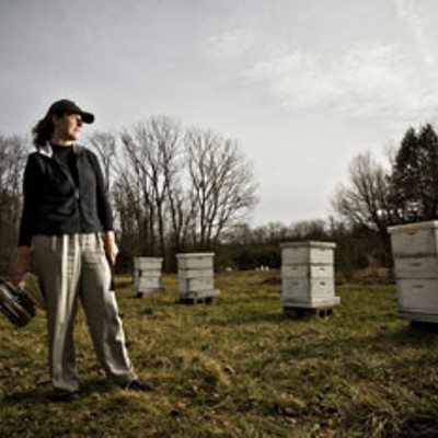Author, Beekeeping Expert Speaks Here Tomorrow