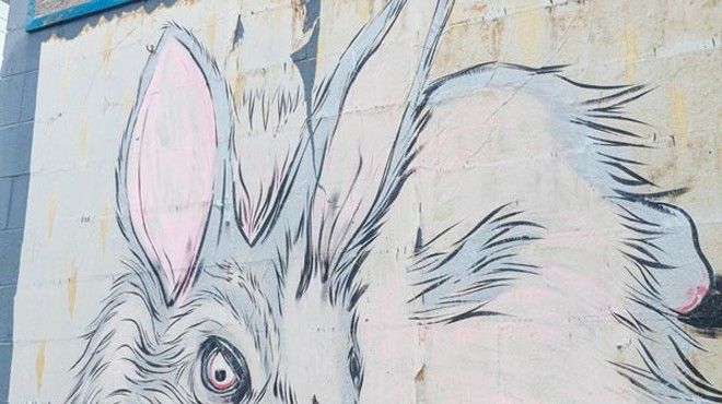 Feral Bunny Wall Art