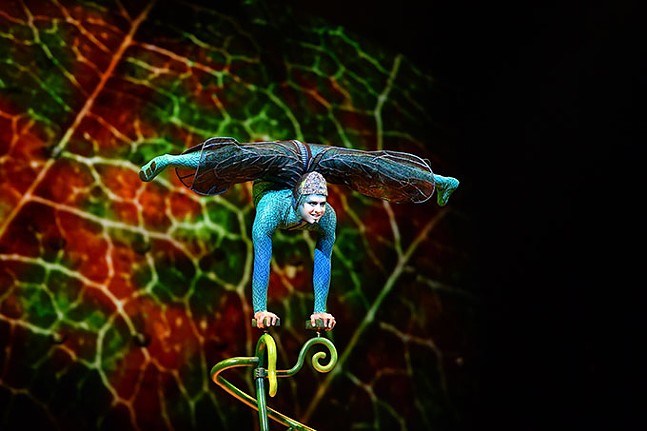 Acrobatics in Cirque du Soleil’s OVO