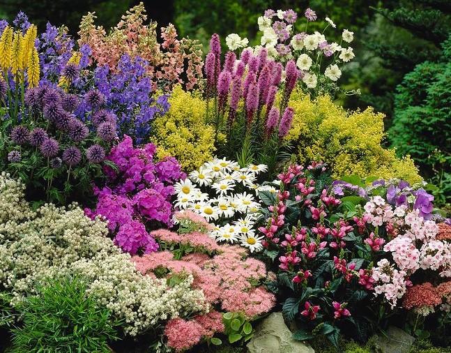 awesome-perennial-garden-design_72549.1484595075.jpg