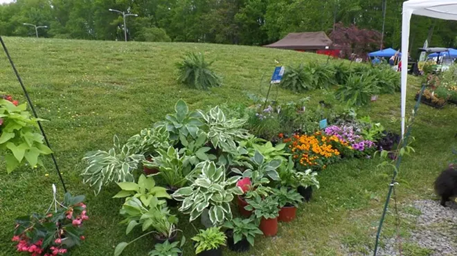 Image: Spring Garden Market and Home Show