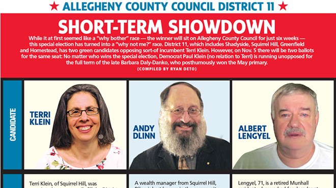 Allegheny County Council District 11