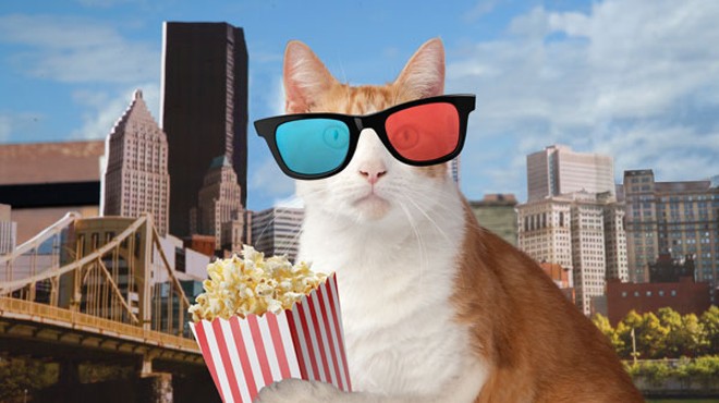 Felines are the stars of the touring Internet Cat Video Festival