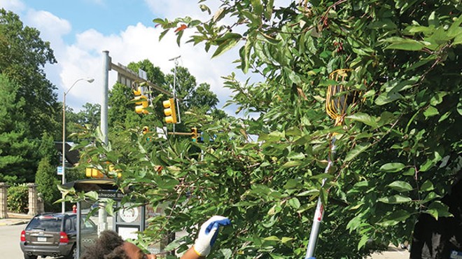 412 Food Rescue takes up urban gleaning
