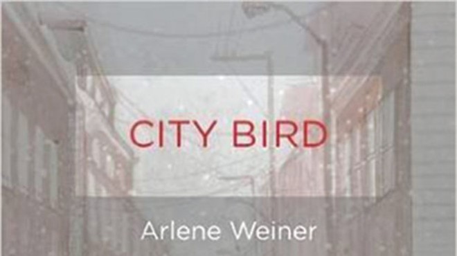 Arlene Weiner’s new poetry collection emphasizes body over mind