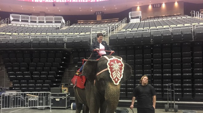 Animal rights group PETA calls out Pittsburgh City Councilor Harris for elephant ride