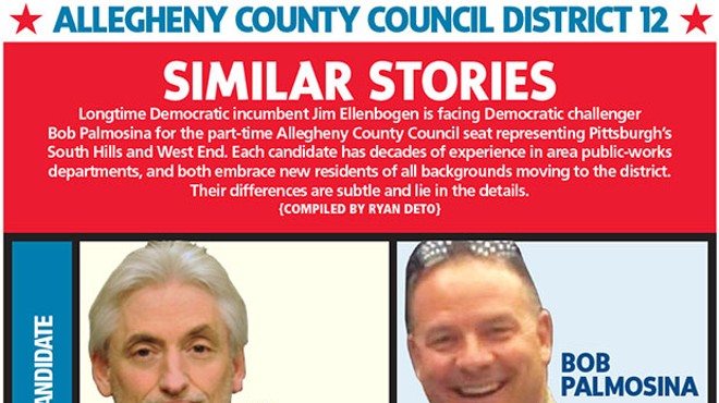 Allegheny County Council District 12