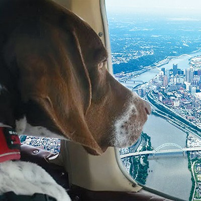 Pittsburgh aviation team rescues animals along the East Coast
