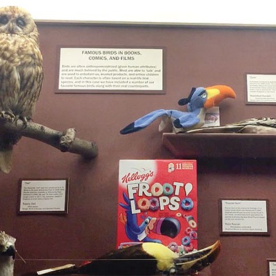 Inside the Hall of Birds at the Carnegie Museum of Natural History