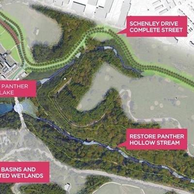 Petition started for green infrastructure sewage project in Greenfield