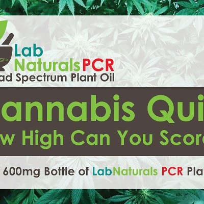 Cannabis Quiz: How High Can You Score?