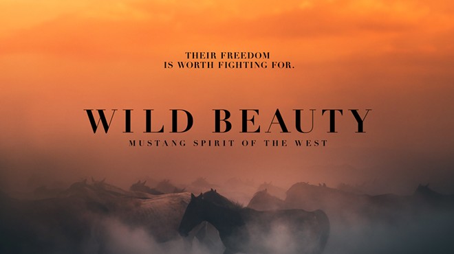 A Very Special Screening of Wild Beauty: Mustang Spirit of the West