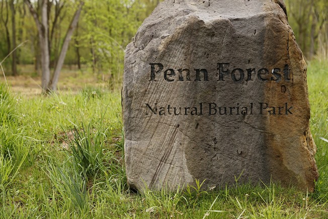 A walk through Penn Forest Natural Burial Cemetery