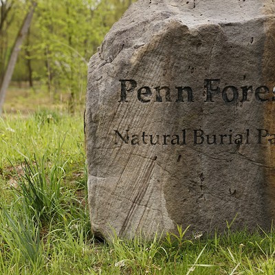 A walk through Penn Forest Natural Burial Cemetery