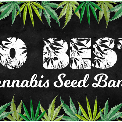 Cannabis Seed Banks: 10 Best Seed Banks in the US