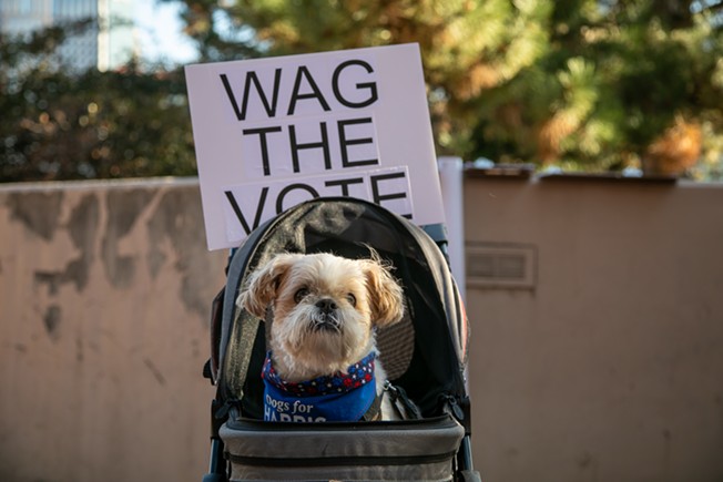 Dogs for Democracy