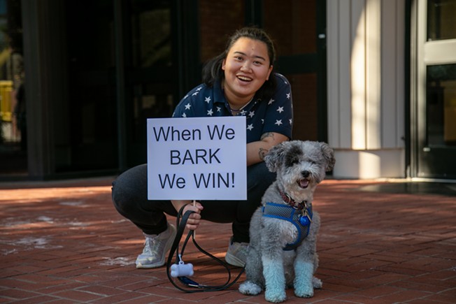 Dogs for Democracy