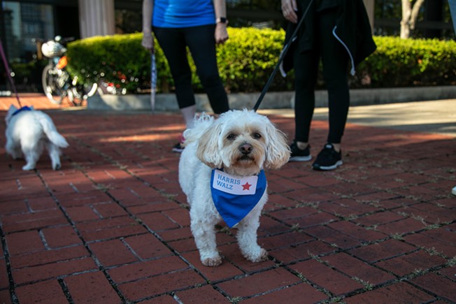 Dogs for Democracy