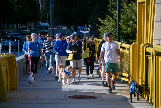 Dogs for Democracy