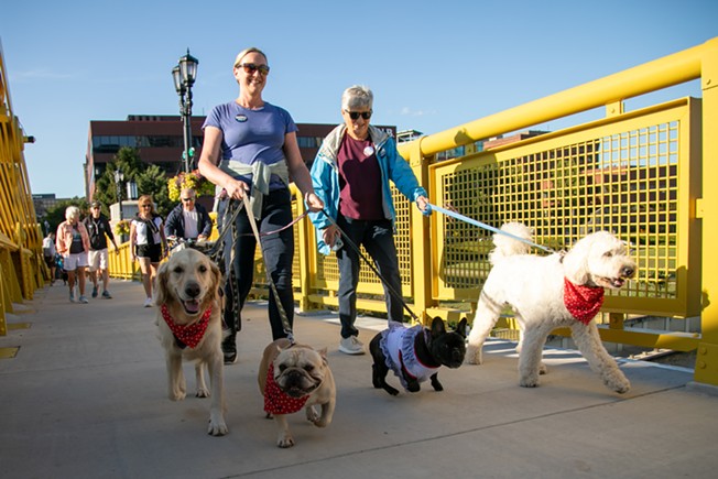 Dogs for Democracy