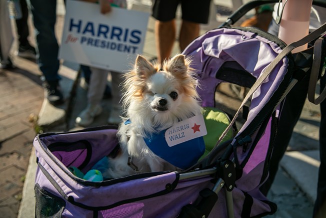 Dogs for Democracy