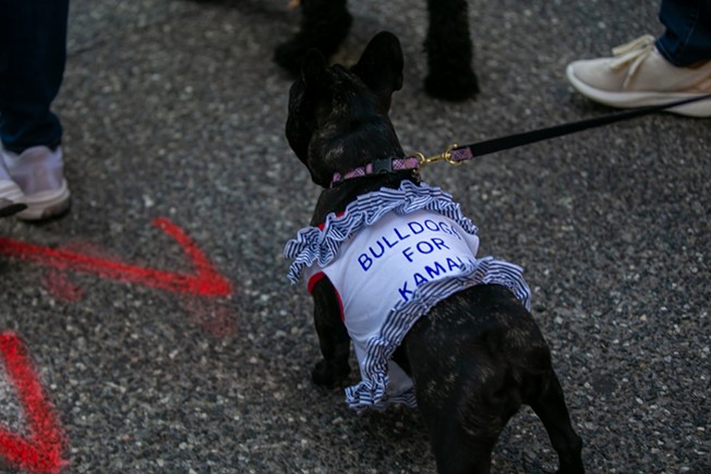 Dogs for Democracy