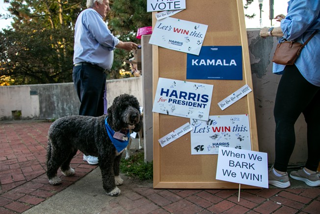 Dogs for Democracy