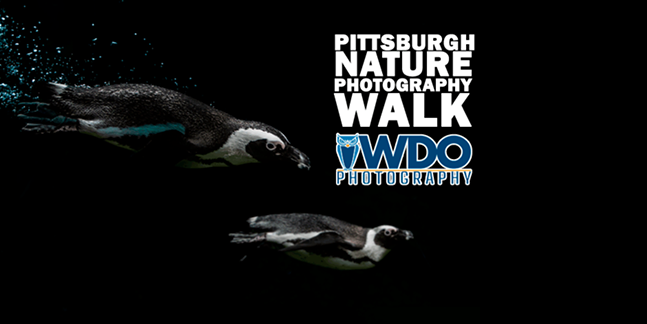 WDO Photography's Feb. Nature Photography Walk