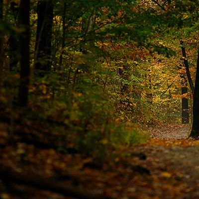 Five walks for enjoying Western Pennsylvania’s stunning fall landscapes