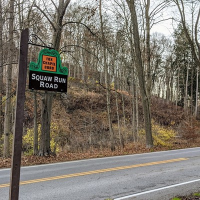 UPDATE: Fox Chapel Borough Council votes to remove slur against Native Americans from trail and street names