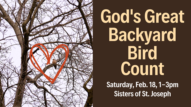 backyard_bird_count_at_sisters_of_st._joseph.png