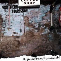 Northern Aggression makes for furious folk-punk