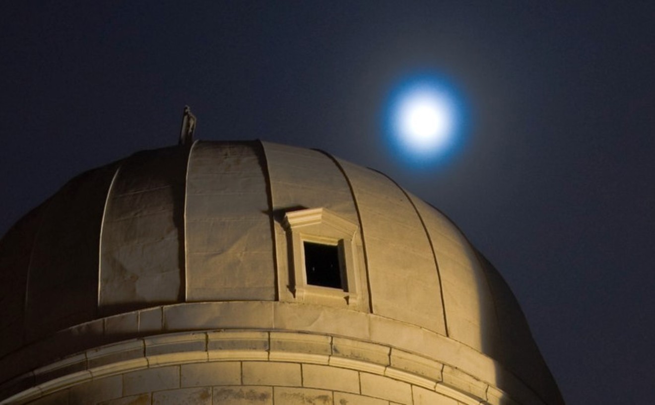 Pittsburgh now has a "Moon Tree" whose seed flew through outer space