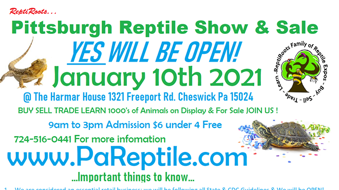 Pittsburgh  Reptile Show and Sale  Jan 10th 2021