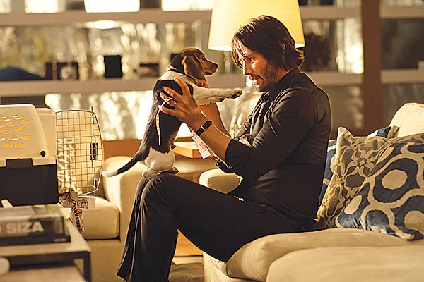 Puppy love: Keanu Reeves