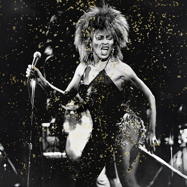 tina_tribute_concert_project_image__1200_x_1200_px_.png