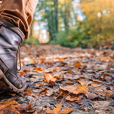 A close-up of a leg showing a hiking boot walks on a leaf-covered trail