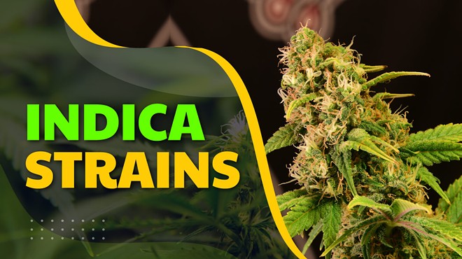 Indica Strains for Sleep, Pain Relief, Anxiety, & More in 2024 (9)