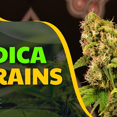 The 10 Best Indica Strains for Anxiety, Pain Relief, Sleep & More in 2024