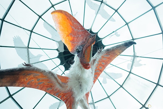 New National Aviary exhibit lets you fly like a pterosaur