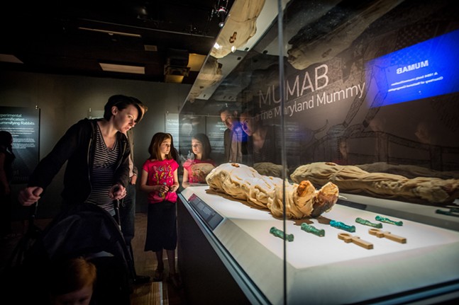 Are you my mummy? Find out at Carnegie Science Center's upcoming Mummies of the World exhibit