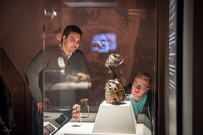 The mummies speak for themselves at Carnegie Science Center's new exhibit