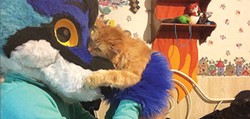 It probably comes as no surprise, but furries love their pets