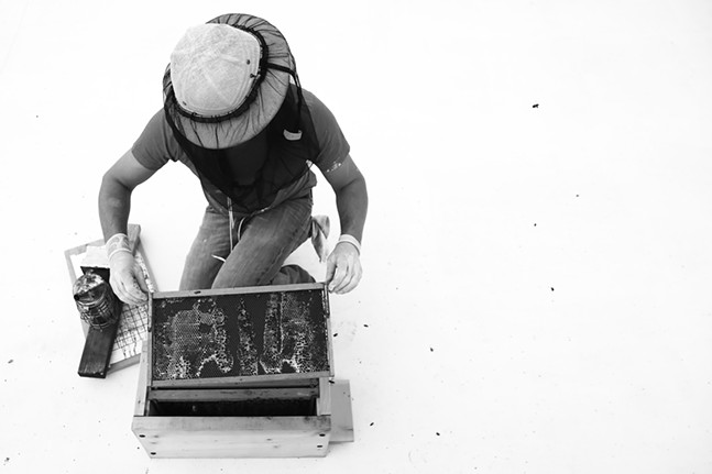 PHOTOS: Meet Ben Muti, Troy Hill's urban beekeeper