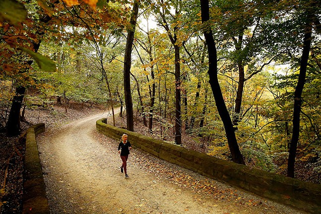 A runner runs on a tree-lined trail in a county park