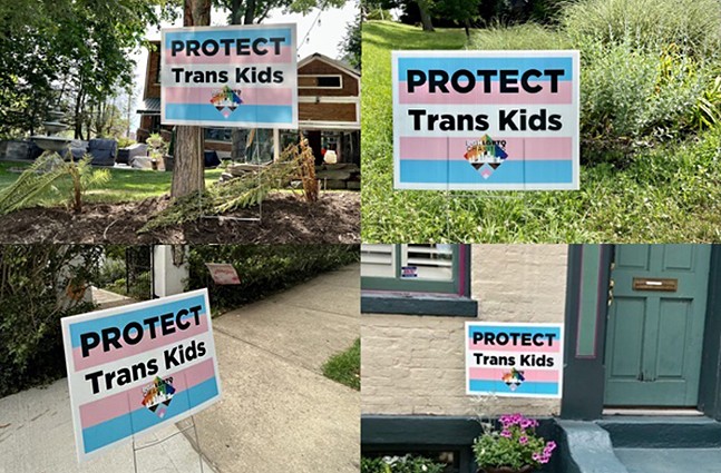 A collage of four outdoor photographs, each showing a light blue, pink, and white striped sign with the text "Protect Trans Kids" printed on them
