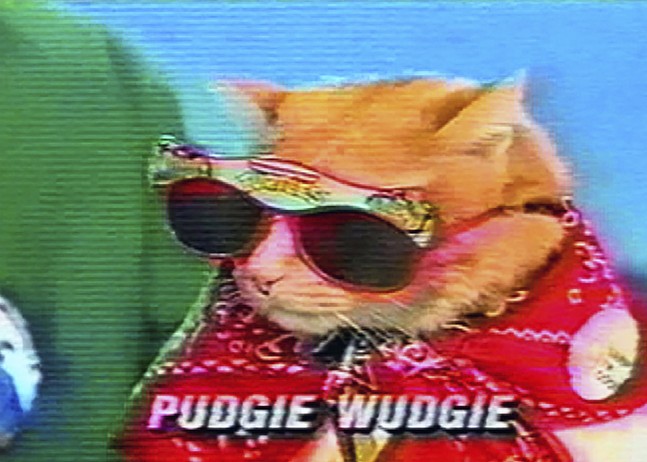 Close up of Pudgie Wudgie, an orange tabby cat wearing a red shirt and Teenage Mutant Ninja Turtles-branded sunglasses