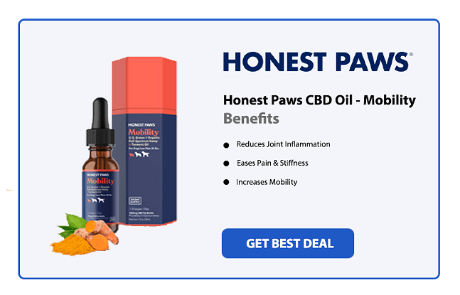 Relieving Arthritis Pain in Dogs with CBD Oil: Expert Advice