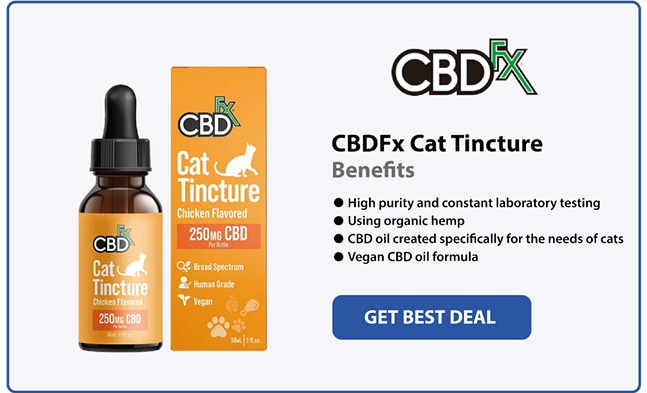 5 Best CBD Oil for Cats in 2024 (3)