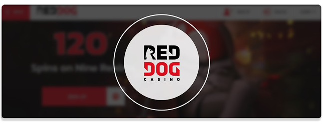 Online Casinos with Best Payout Of 2023